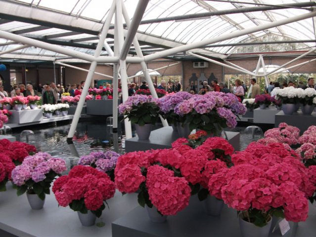 Amsterdam-Keukenhof-Brussel-Maastricht